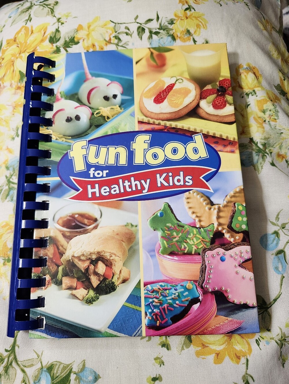 "Fun Food for Healthy Kids" Cookbook